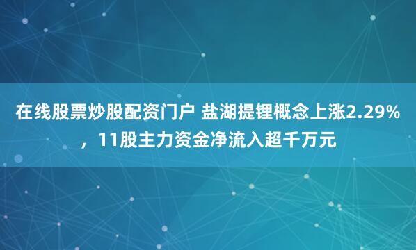 在线股票炒股配资门户 盐湖提锂概念上涨2.29%，11股主力资金净流入超千万元